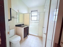 Botanic Gardens Mansion (D10), Apartment #517520231